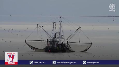 Công nghệ định hình tương lai bền vững cho nghề cá 