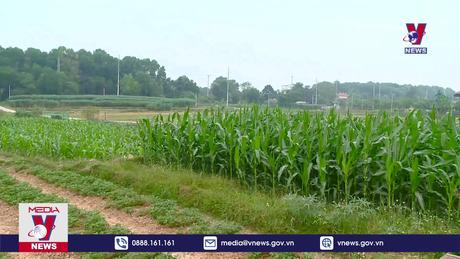 Hiệu quả từ công tác đối thoại với nhân dân 