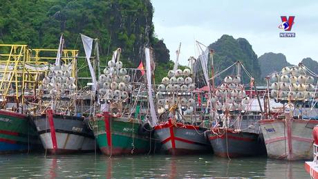 Nhật trình kinh tế ngày 9/11/2023