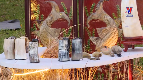 Điểm hẹn Hà Nội ngày 10/11/2023