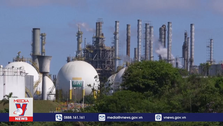 IEA dự báo nhu cầu dầu toàn cầu đạt đỉnh vào năm 2030