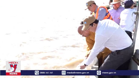 Sóc Trăng thả 1,8 triệu con giống tái tạo nguồn thủy sản ven biển