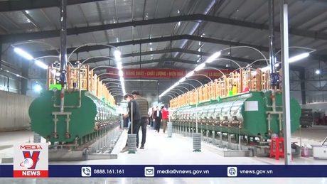 Thực trạng ngành dâu tằm tơ