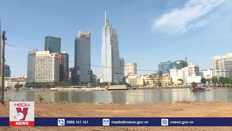 Sắp có cánh đồng hoa hướng dương trải dọc bờ sông Sài Gòn