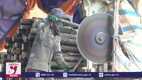 Lao đao tìm đầu ra cho sản phẩm từ rừng trồng