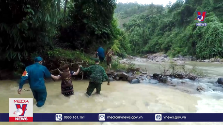 Bản tin thời sự 20h ngày 12/11/2023