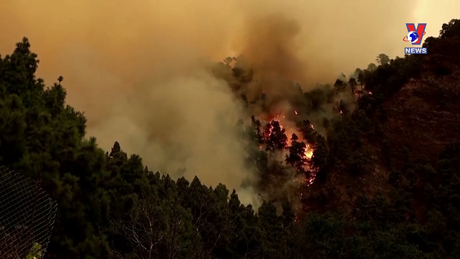 Đời sống toàn cầu ngày 12/11/2023