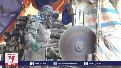 Lao đao tìm đầu ra cho sản phẩm từ rừng trồng