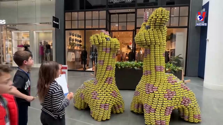 Phong cách sống ngày 12/11/2023