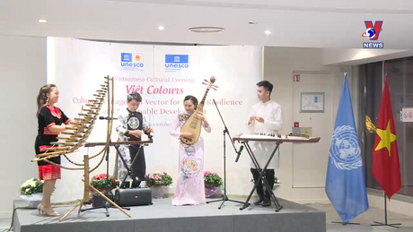 Văn hóa toàn cảnh ngày 12/11/2023