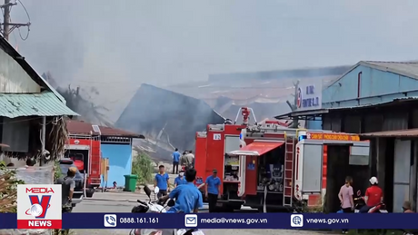 Bình Dương kịp thời khống chế đám cháy tại công ty gỗ