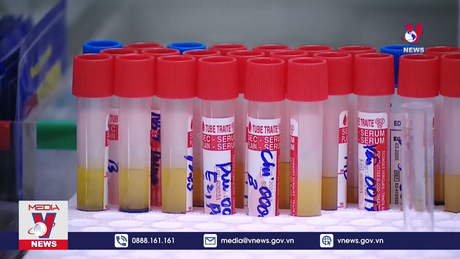 Dự báo dân số Việt Nam còn 72 triệu người vào năm 2100