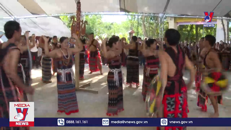 Bản tin thời sự 22h ngày 12/11/2023