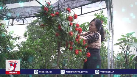 Bản tin khởi nghiệp: Hành trình 16 năm biến giấc mơ thành hiện thực