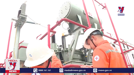 Bản tin thời sự 11h ngày 14/11/2023