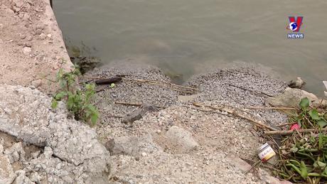 Hộp thư VNews: Lấn chiếm đất công lập bến bãi tư