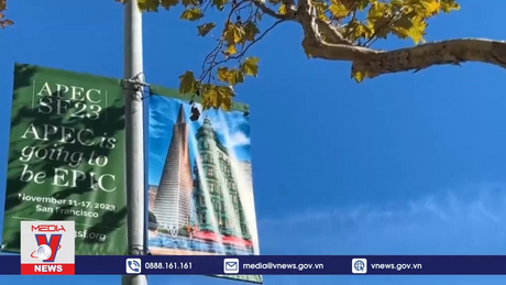 Góp phần thúc đẩy hợp tác APEC thiết thực và hiệu quả