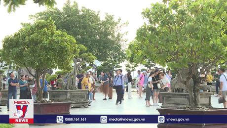 Thúc đẩy địa phương hóa các mục tiêu phát triển bền vững