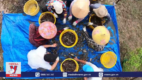 Cà Mau mở rộng sản xuất sản phẩm OCOP