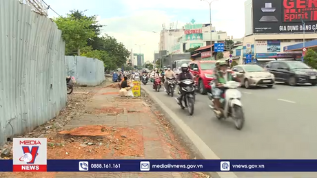 Đốn hàng loạt cổ thụ để mở động đường cửa ngõ Tân Sơn Nhất