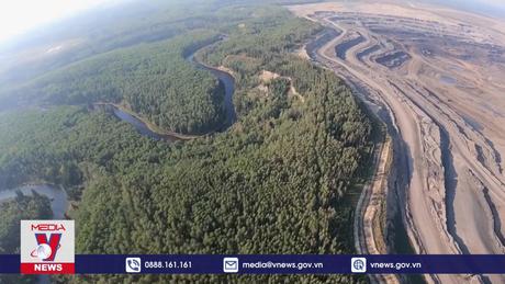 Bảo vệ rừng hiệu quả hơn trồng mới trong giảm khí carbon