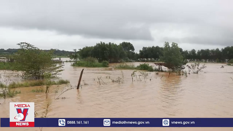 Mưa lớn gây ngập lụt nhiều khu vực tại Quảng Trị 