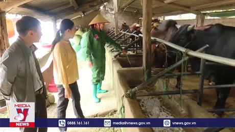 Vùng cao Vân Hồ chủ động phòng, chống rét cho cây trồng, vật nuôi