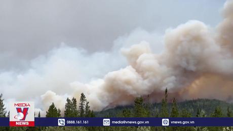 WHO cảnh báo tác động nghiêm trọng của khủng hoảng khí hậu