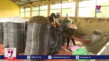 Bản tin thời sự 17h ngày 16/11/2023