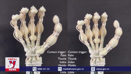 Bàn tay robot mô phỏng cấu trúc phức tạp của tay người