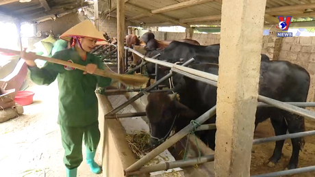 Nhật trình kinh tế ngày 16/11/2023