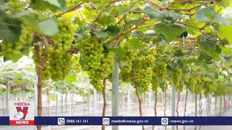 TPHCM và ĐBSCL hướng tới đột phá tăng trưởng xanh