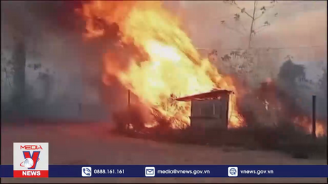 Cháy rừng hoành hành tại Bolivia