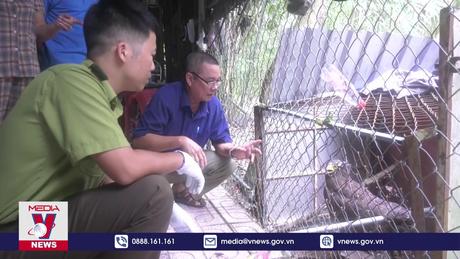 Phát hiện cá thể Diều Hoa Miến Điện nguy cấp, quý hiếm tại Bình Phước