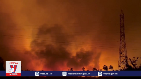 Cháy rừng lan rộng ở Brazil