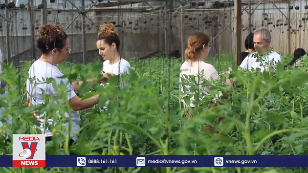 Phong trào “giải cứu” nông dân tại Israel