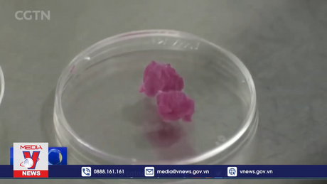 Italy cấm sản xuất và kinh doanh thịt nhân tạo