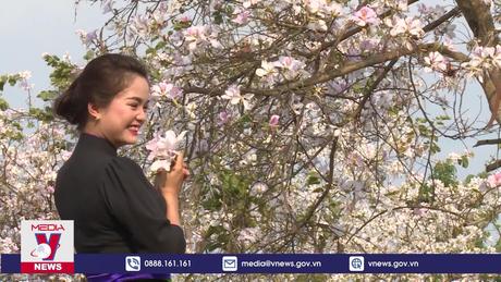 Tổ chức Năm Du lịch quốc gia - Điện Biên 2024