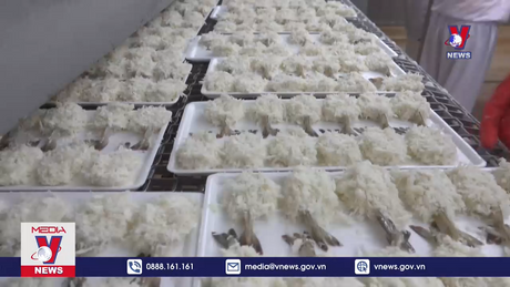 Xuất khẩu thủy sản sang Trung Quốc còn nhiều dư địa 