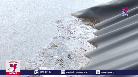 Nuôi lợn gây ô nhiễm môi trường ở Kon Tum