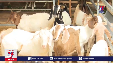 Tiết kiệm mỗi ngày 1.000 đồng - Việc làm nhỏ, ý nghĩa lớn 