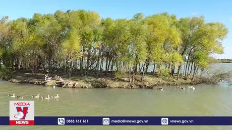 Đến với khu bảo tồn thiên nhiên quốc gia châu thổ Hoàng Hà, Trung Quốc