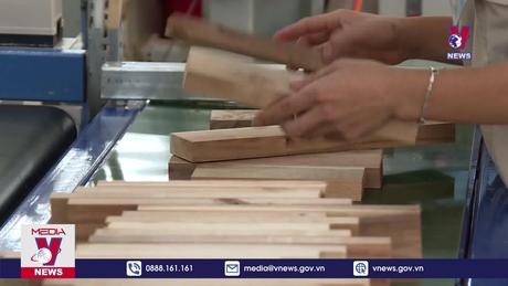 Bản tin Thời sự 17h ngày 19/11/2023