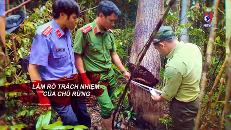 Hồ sơ xét xử ngày 19/11/2023