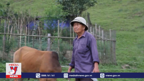 Nông dân vùng biên Nghệ An chuyển đổi mô hình kinh tế thoát nghèo