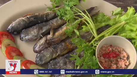 Đặc sản “cá leo cây” ở vùng Đất Mũi Cà Mau