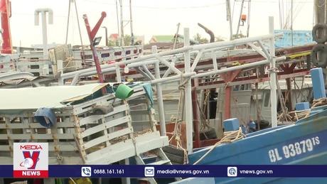 Ngư dân Bạc Liêu gặp khó trong vụ biển cuối năm
