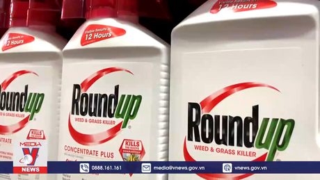 Bayer bị phạt 1,56 tỷ USD liên quan thuốc diệt cỏ Roundup