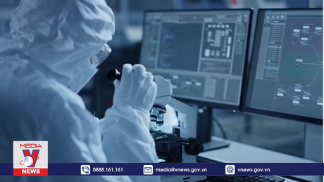 Bản tin Khởi nghiệp ngày 20/11/2023: Phát triển thương hiệu trà hữu cơ gắn với du lịch