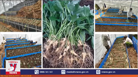 Cảnh giác với lời mời gọi góp vốn lãi suất cao